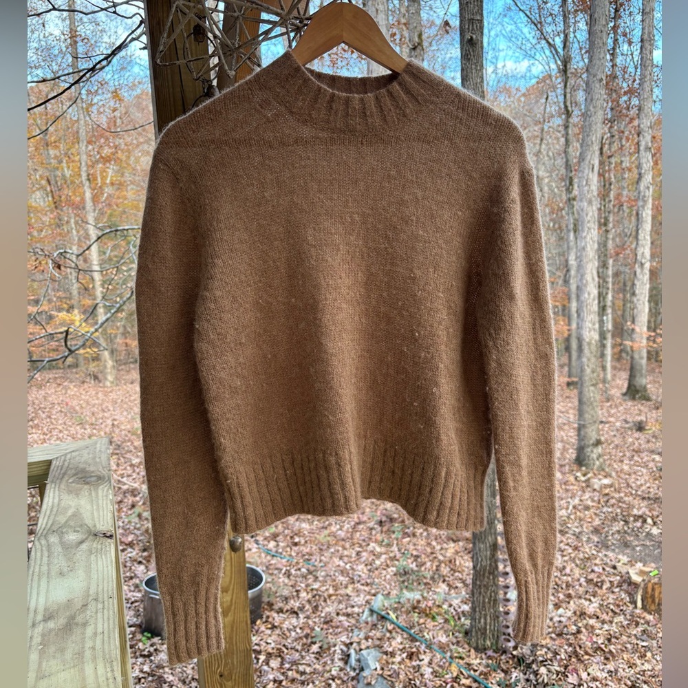 Everlane Alpaca Sweater